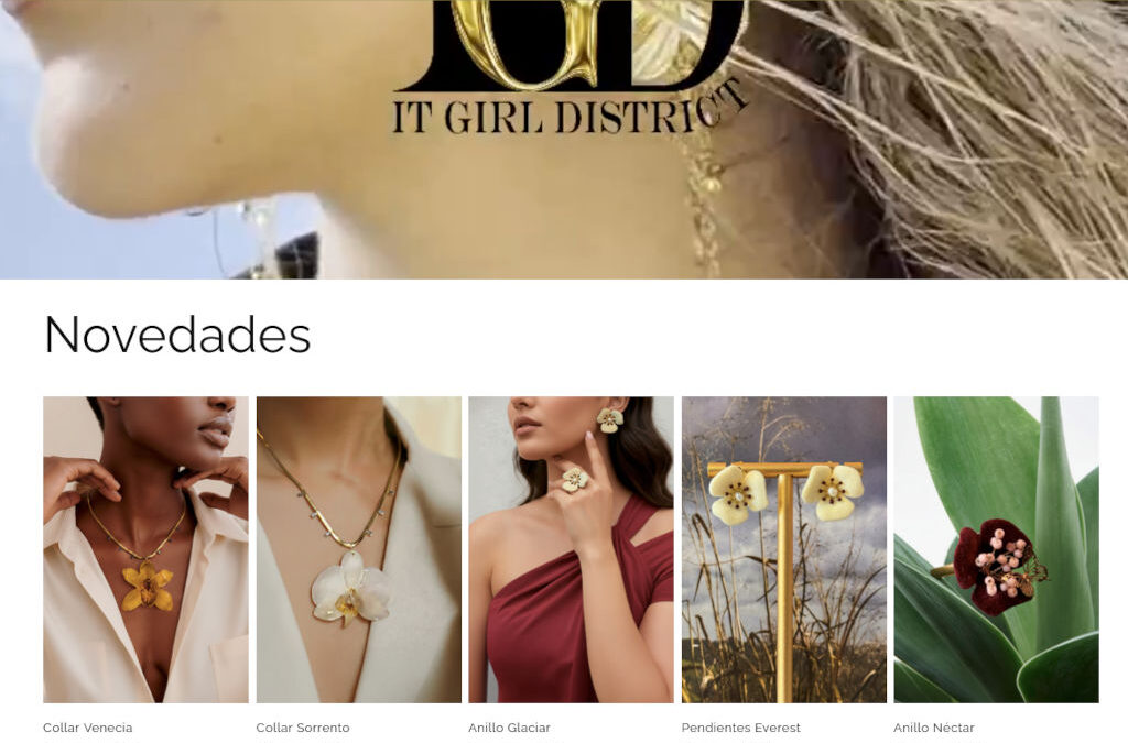 Posicionament web per a botiga online de productes de roba, bisuteria i joieria per dones