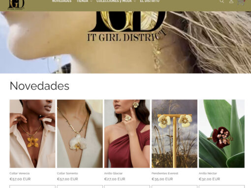 Posicionamiento web para tienda online de productos de ropa, bisutería y joiería para mujeres